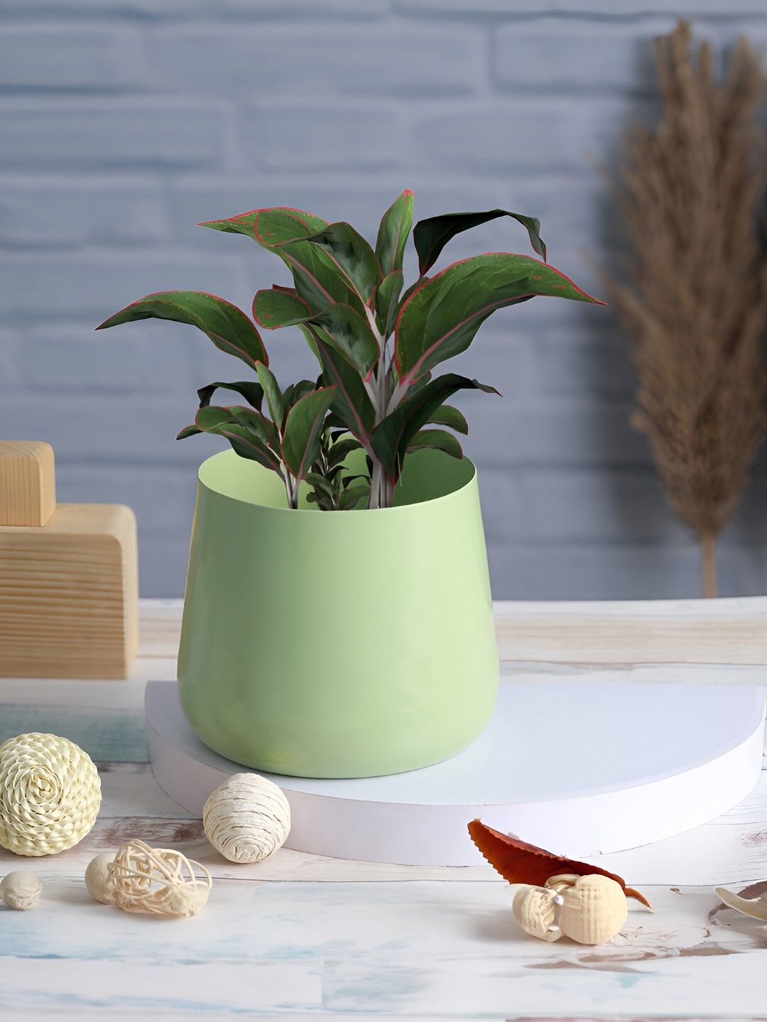 Homspurts Long Dish Green Metal Planter-picture-13