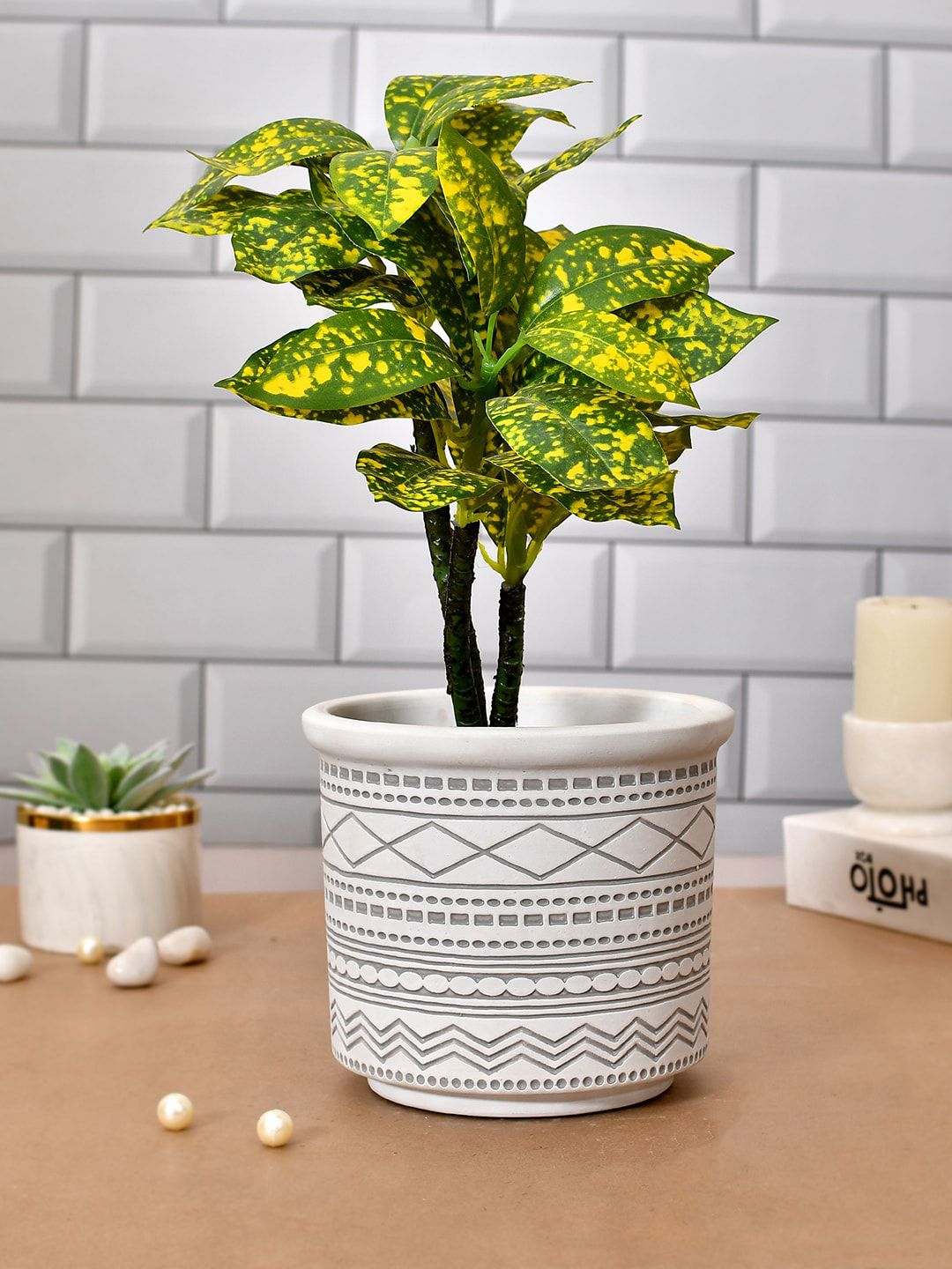TAYHAA Blossom Black & White Textured Ceramic Planter-image-41