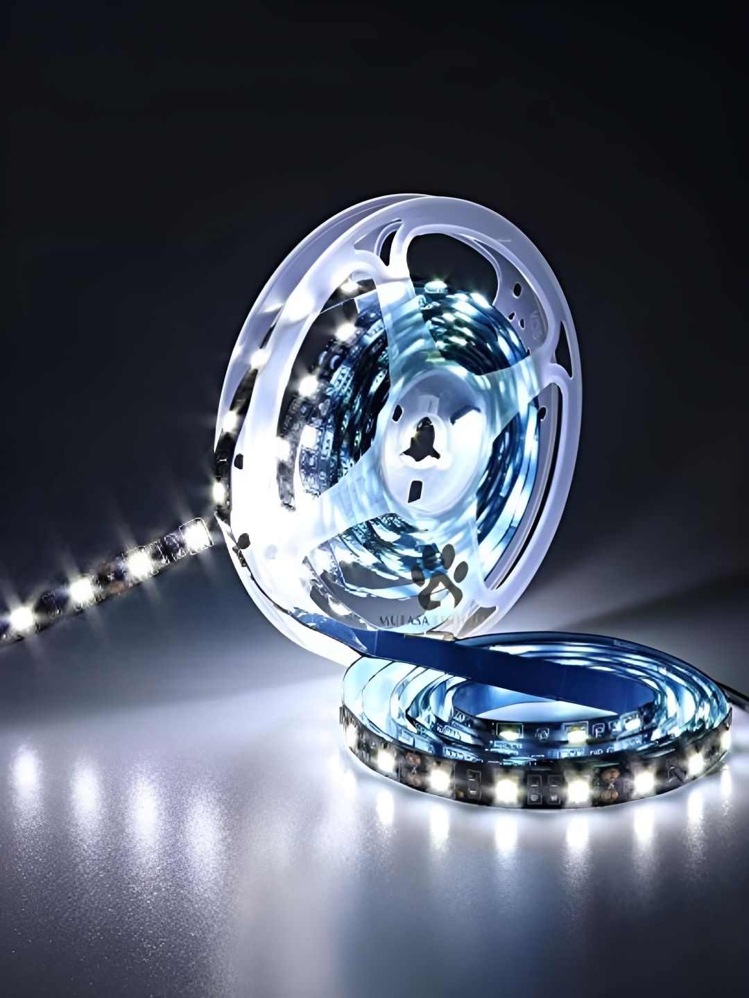 Mufasa White Non Waterproof LED String Lights-picture-34