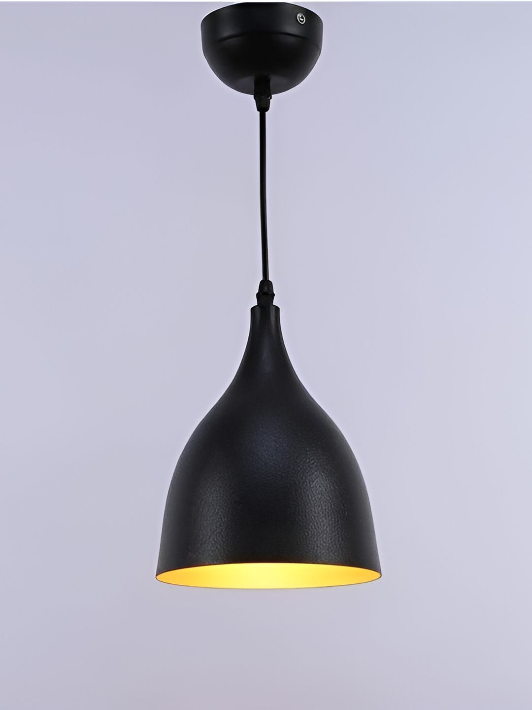 Areezo Black  Contemporary Metal Ceiling Lamp-picture-14