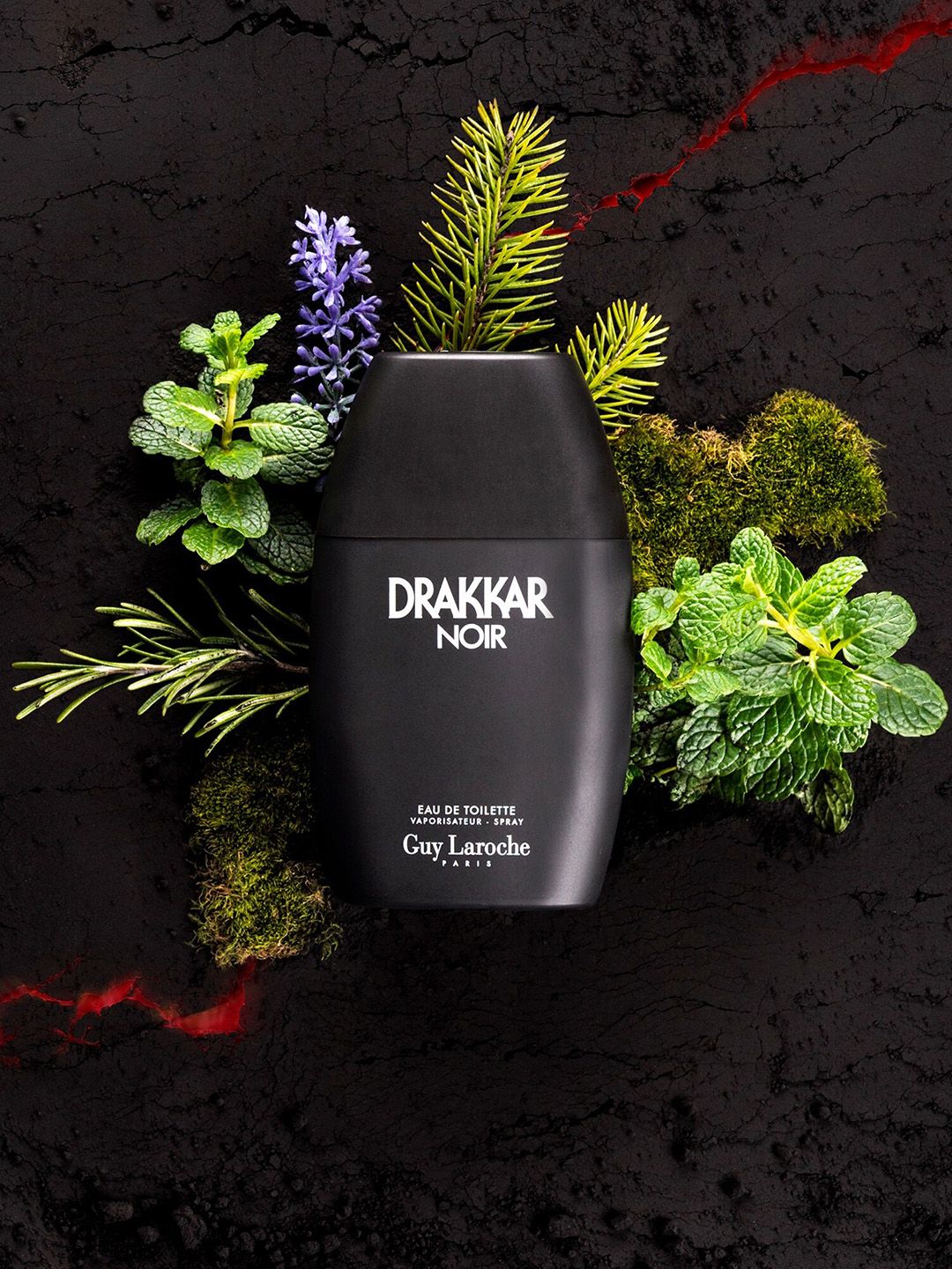 Guy Laroche Men Drakkar Noir Eau de Toillette - 200ml-picture-22
