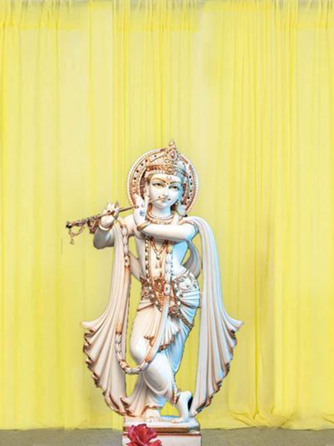 Special You Yellow 3 Pcs Net Decoration Curtains-picture-28