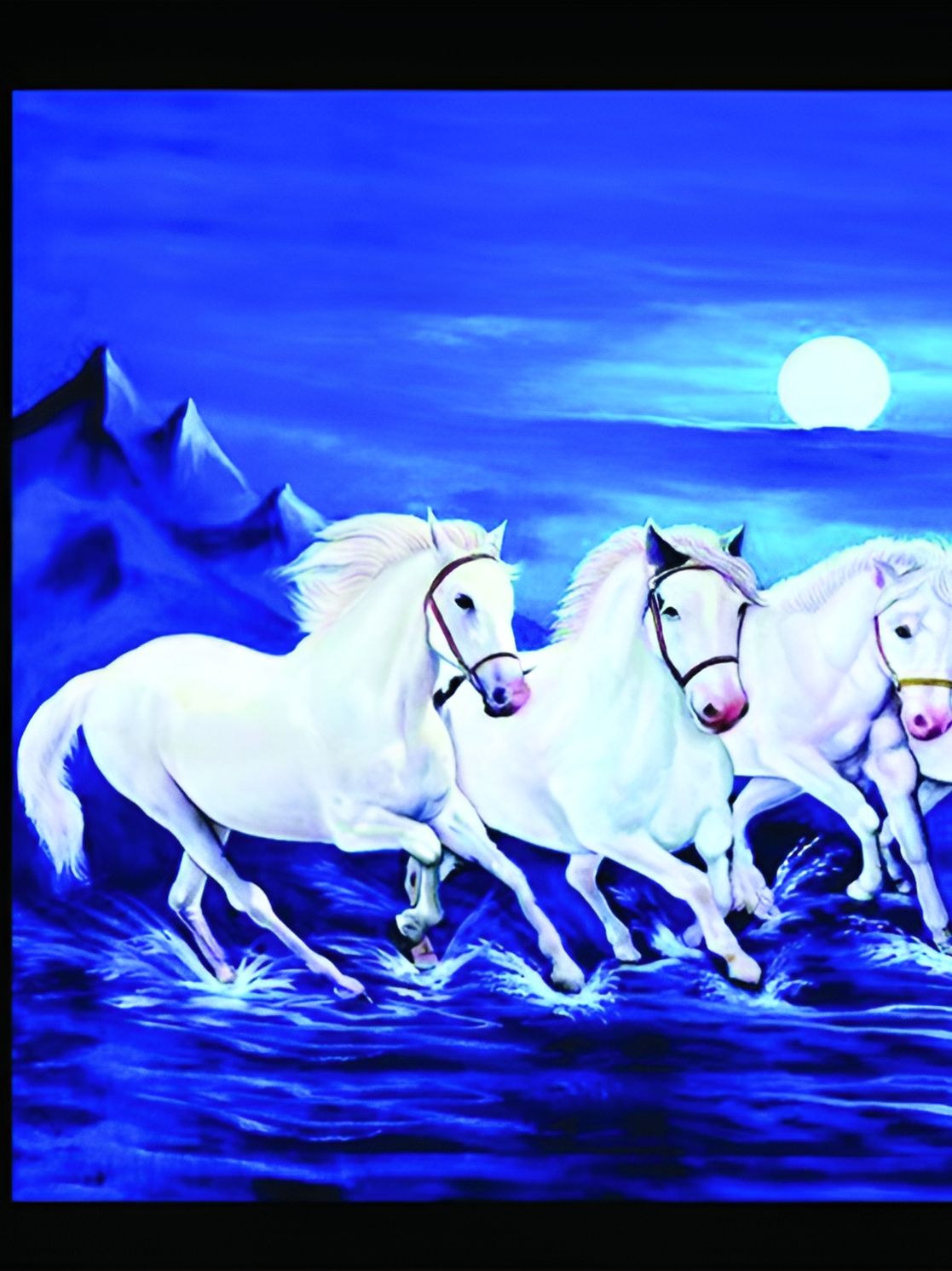 British Terminal White & Blue Birds and Animals Wall Photograph-picture-11