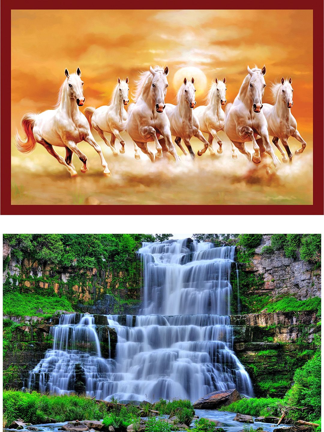 British Terminal Orange & White 1 Piece Paper Birds and Animals Wall Photographs-picture-10