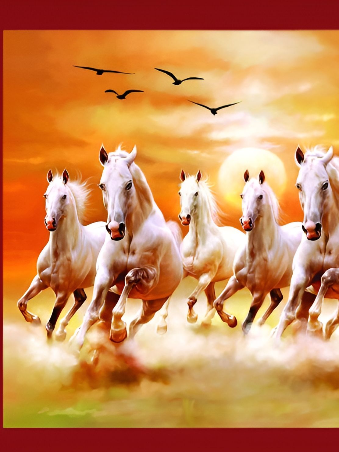 British Terminal Orange & White Birds and Animals Photographs Wall Art-picture-24