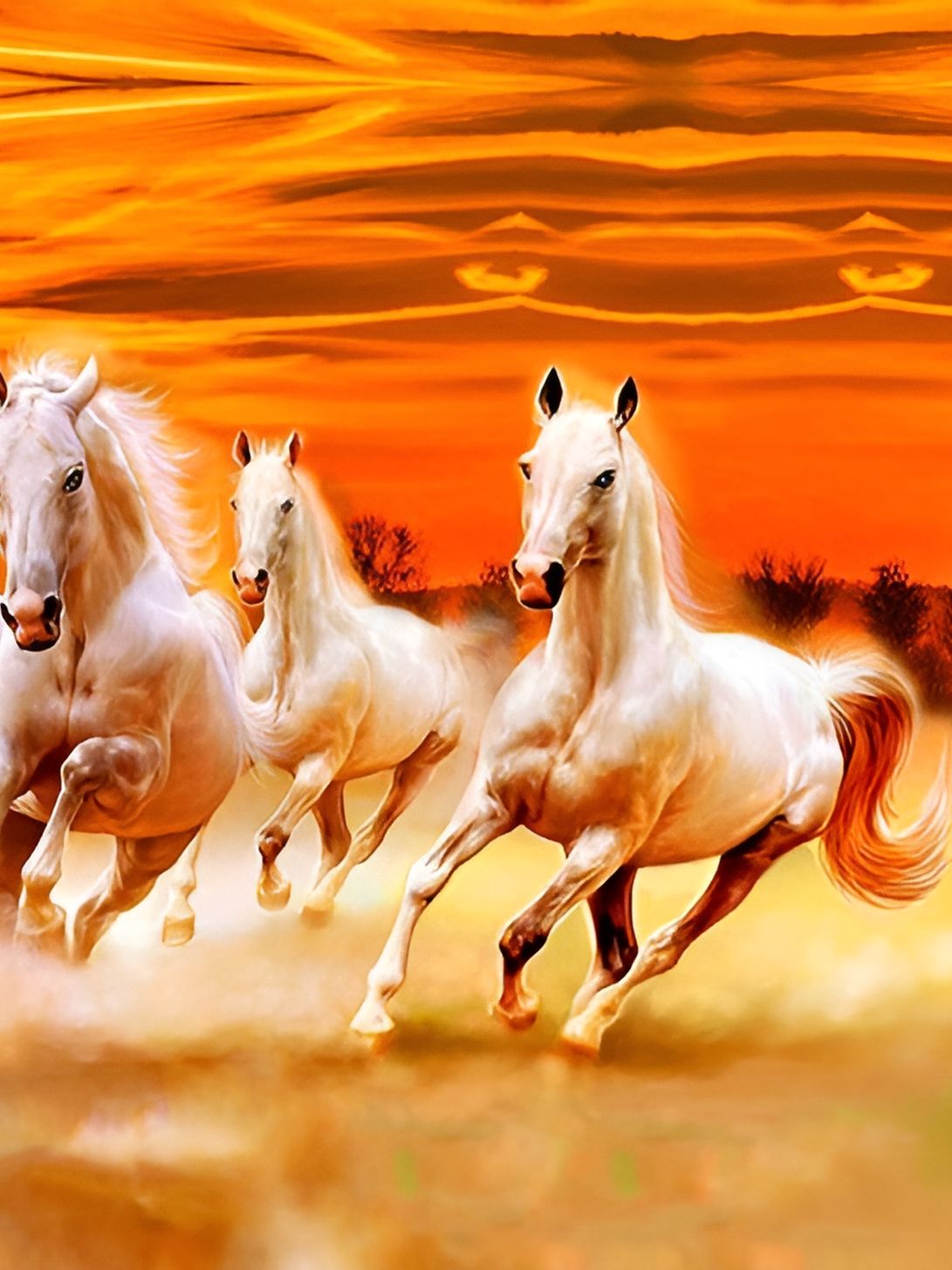 British Terminal White & Orange Birds and Animals Wall Photograph-picture-15