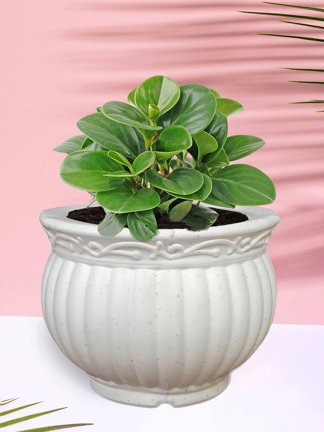 Kuber Industries White 5 Pieces Textured Planters-picture-35