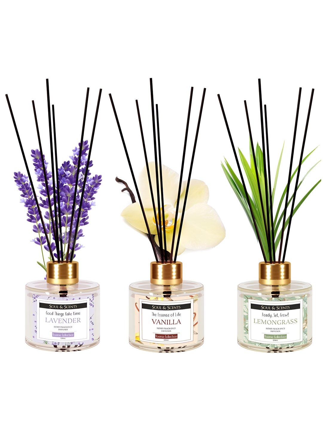 SOUL & SCENTS White 3 Pieces Fragrance With 6 Reed Sticks Diffuser Set 120 ml Each-image-30