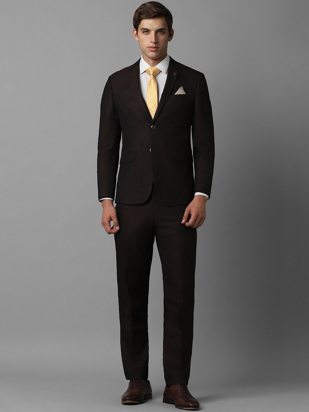 Louis Philippe Textured Notched Lapel Slim-Fit Two Piece Formal Suit-picture-24