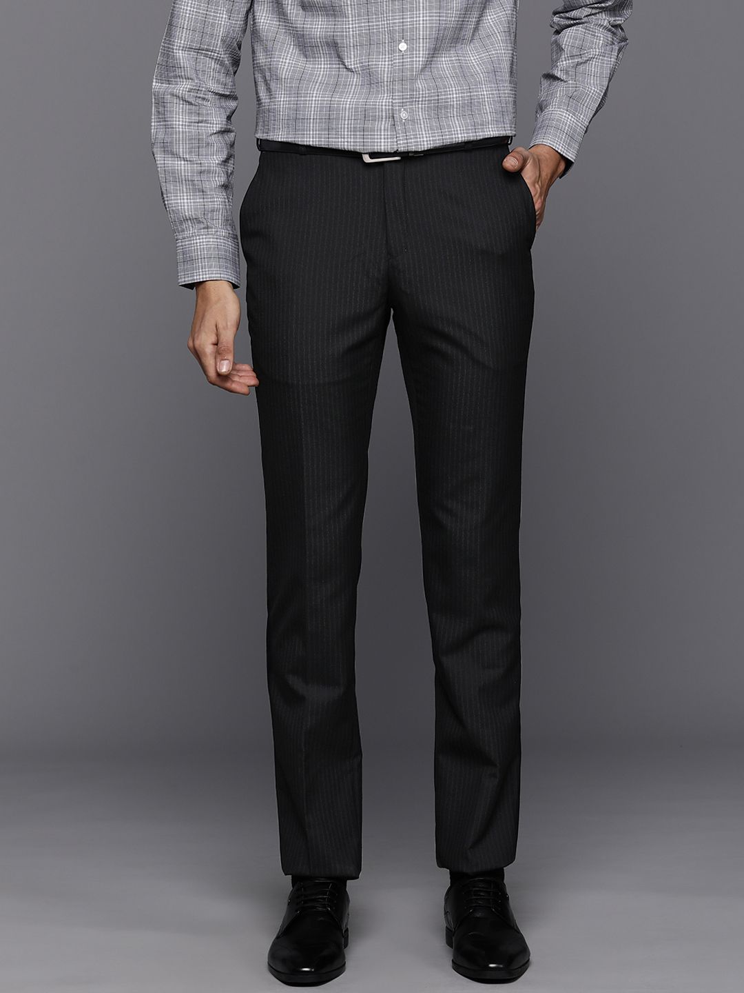 Raymond Men Striped Slim Fit Formal Trousers-image-27