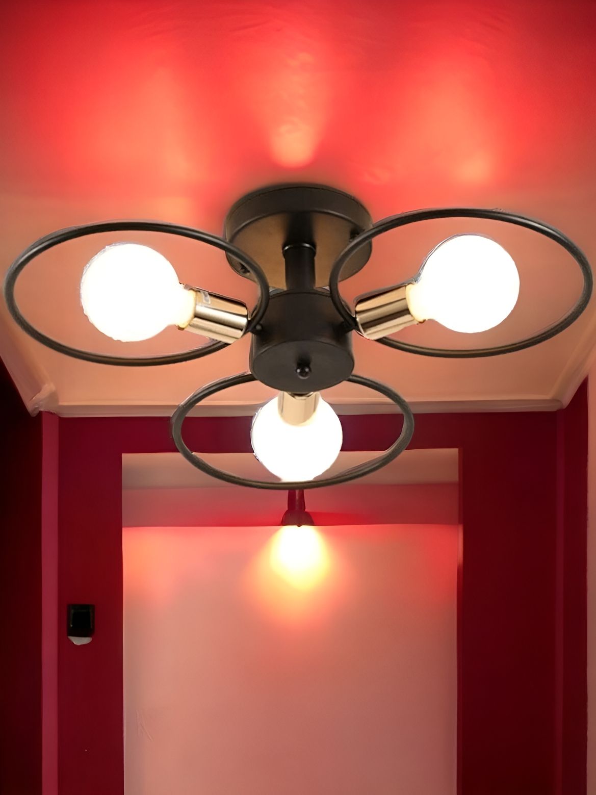 Whiteray Black & White Contemporary Ceiling Lamp-picture-37