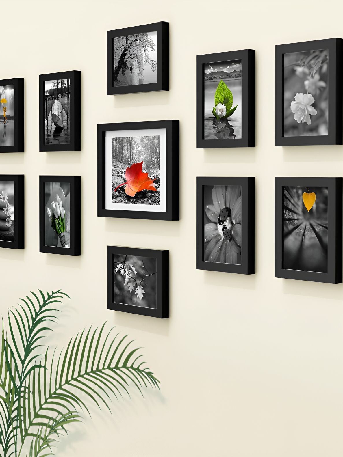 Stuthi Arts Black 8 to 12 Pieces Wood Wall Photo Frames-picture-40