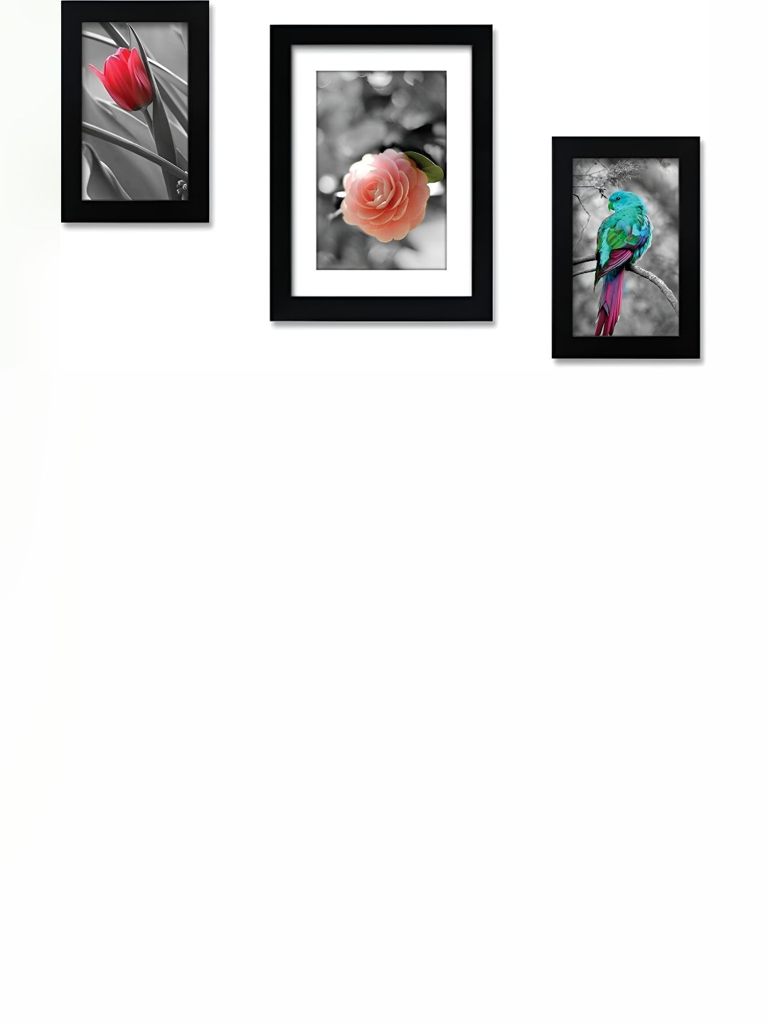 Stuthi Arts Black 3 Pieces Wood Wall Photo Frames-picture-34