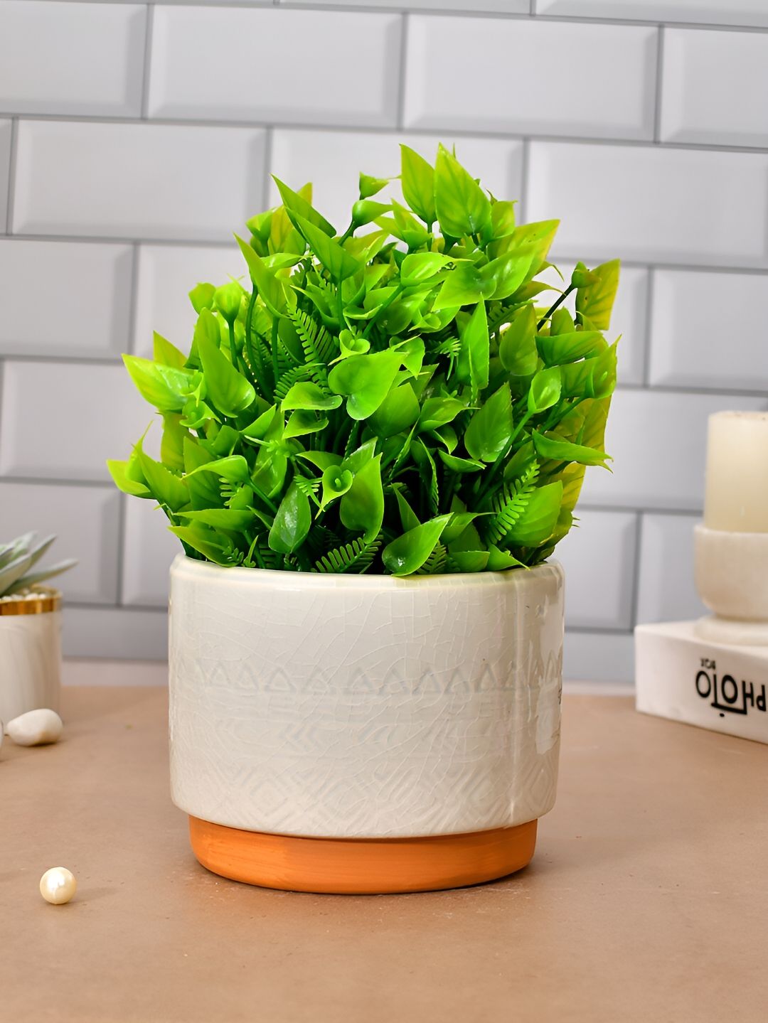 TAYHAA Cream Oasis Ceramic Planter-picture-21