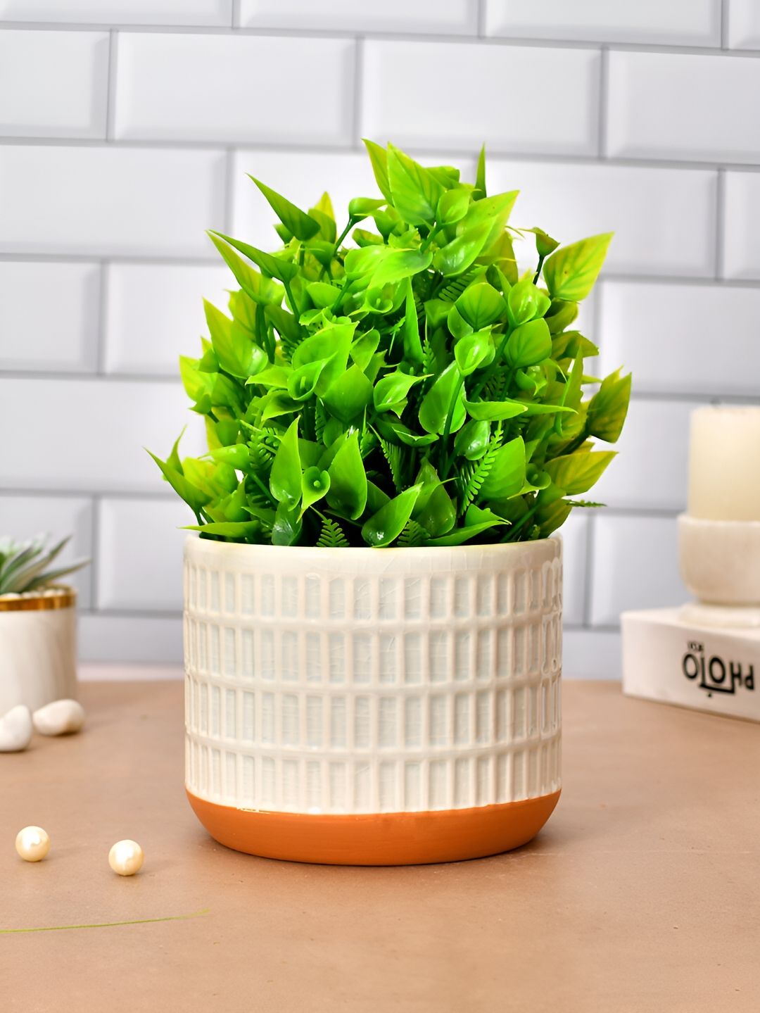 TAYHAA Cream Coloured & Orange Textured