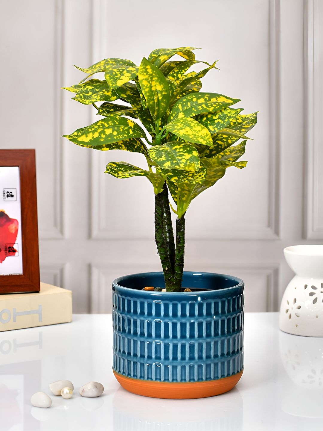 TAYHAA Blue & Orange Textured Ceramic Planter