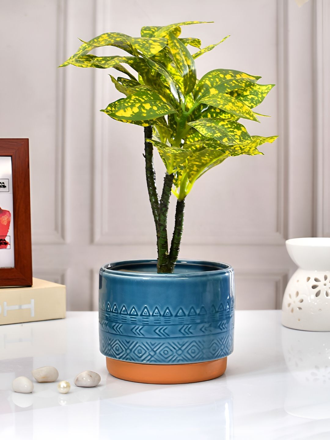 TAYHAA Blue & Brown Printed Ceramic Planter-image-14