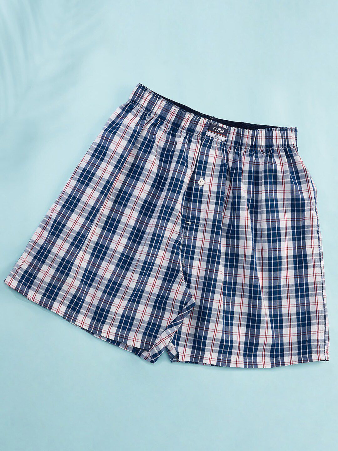 Ajile by Pantaloons Checked Pure Cotton Boxers-picture-26