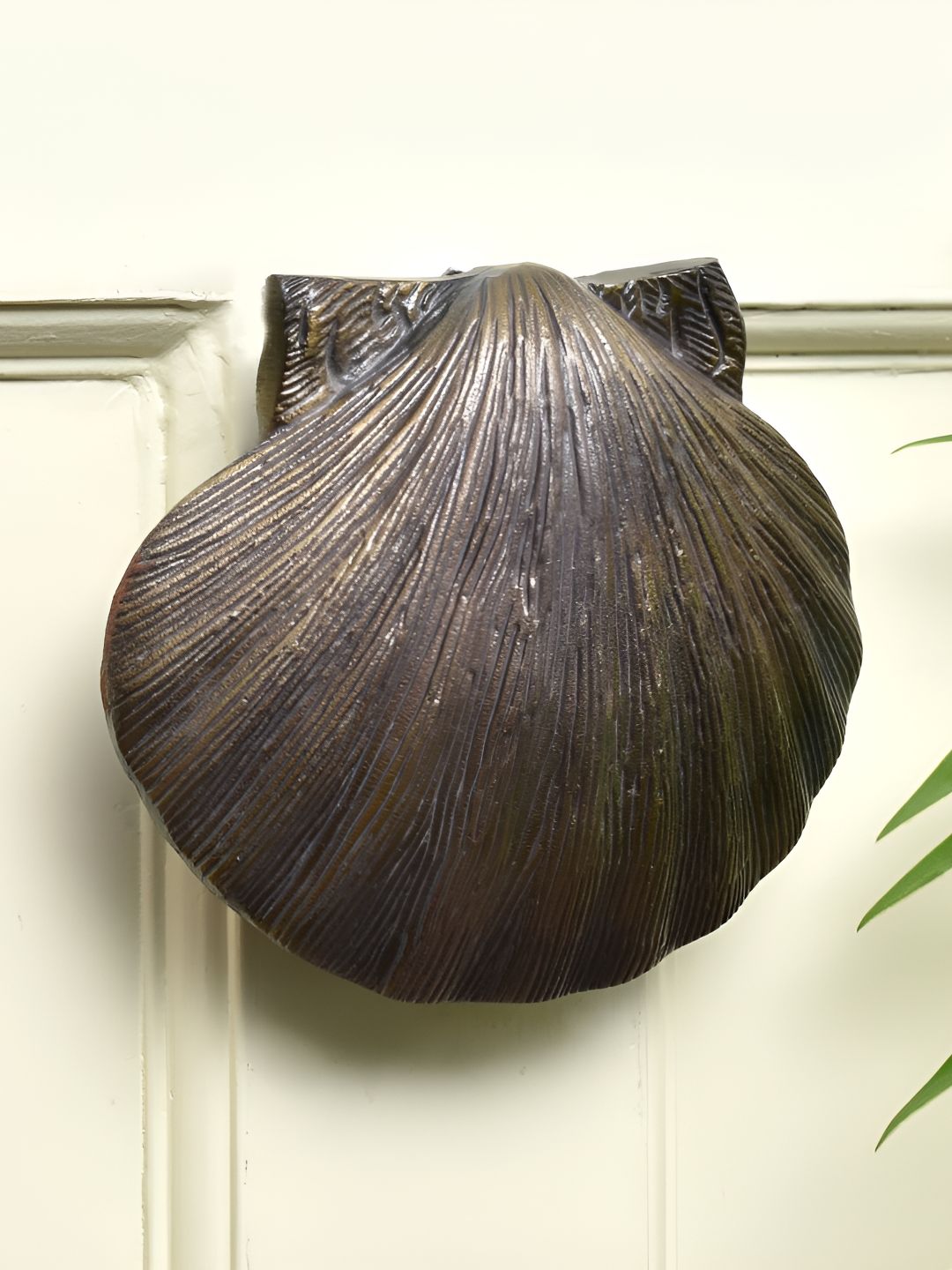 Indianshelf Brown Sea Shell Door Knocker-picture-53