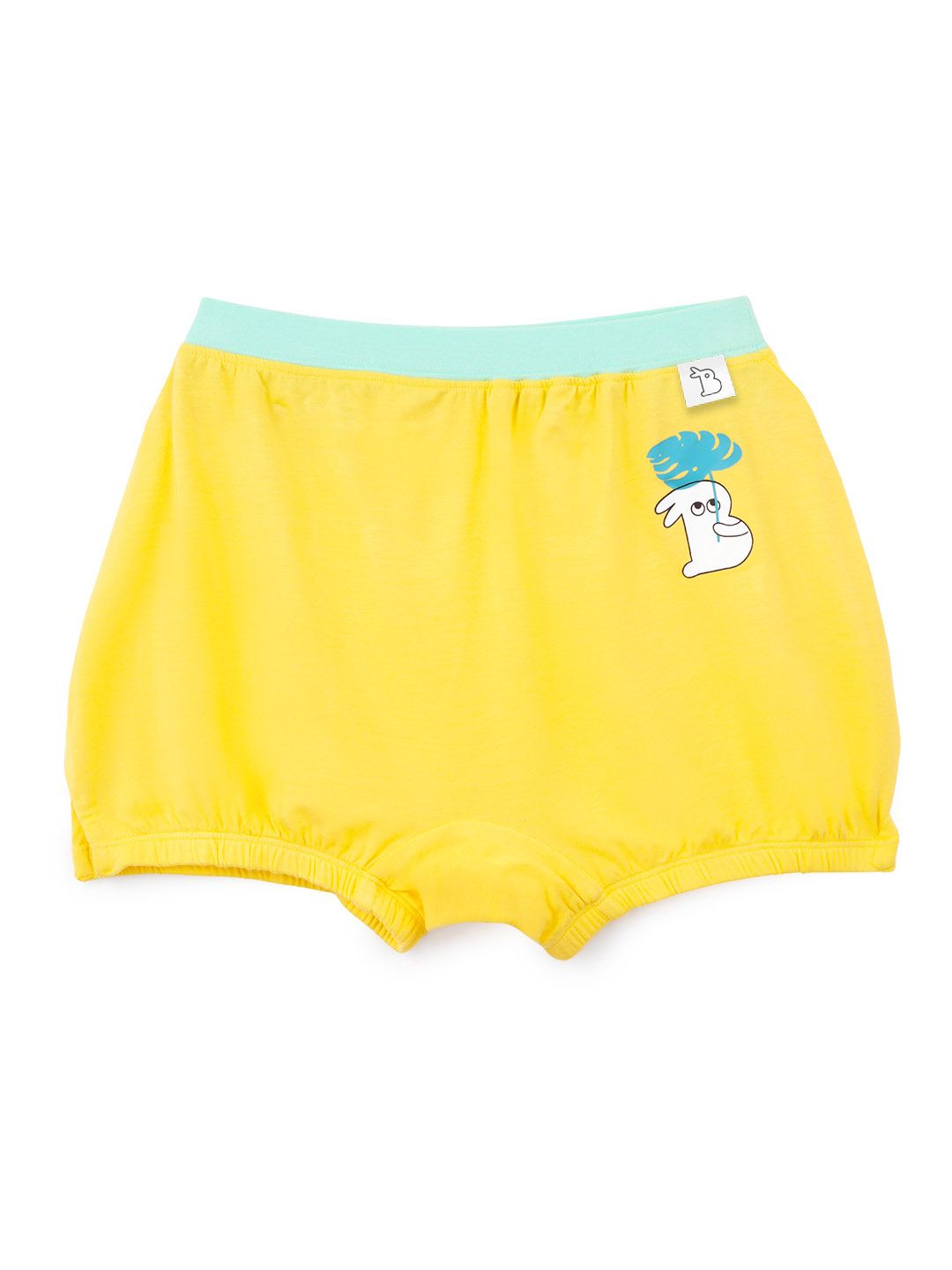 SuperBottoms Girls Printed Boy Short Briefs Und-G-BL-NL-4-6Y-1P-picture-42