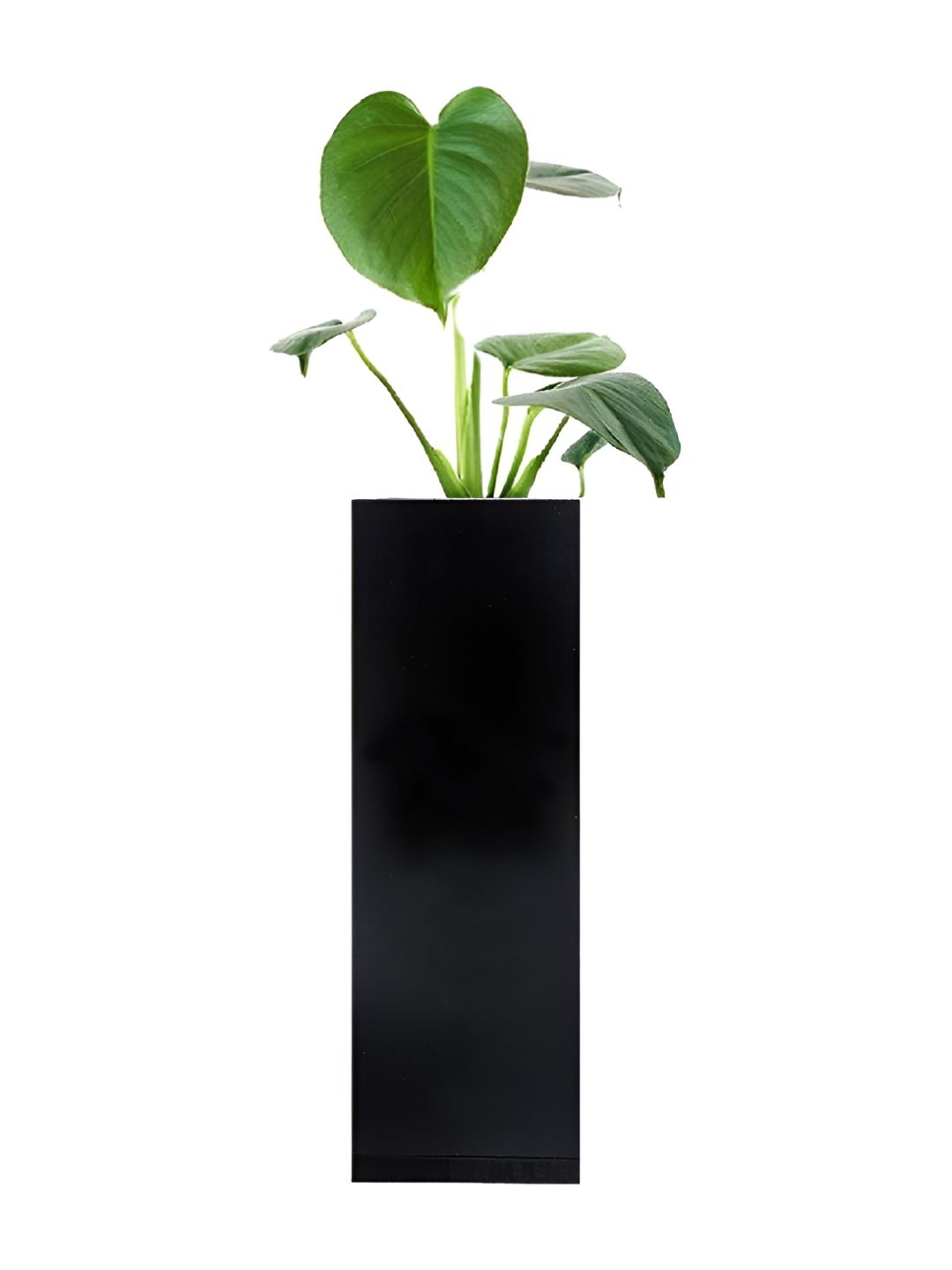 VAH Kya Bat Hai !! Black Flower Pot Holder-image-27