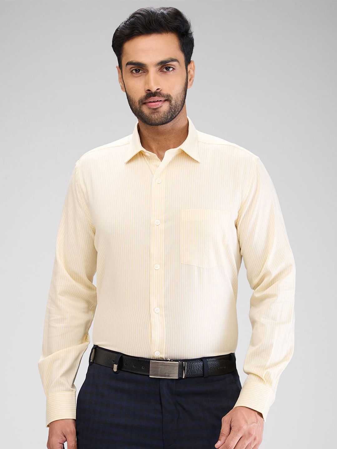 Park Avenue Men Opaque Striped Spread Collar Formal Shirt-picture-33