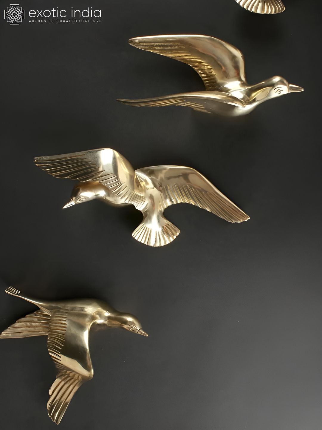 Exotic India Gold Toned 5 Pieces Brass Bird Wall Hangings-image-15