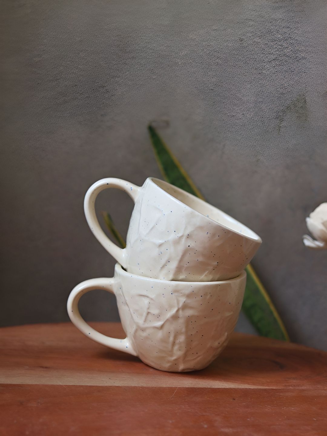 WEAVING HOMES Cream-Coloured Hand Painted Printed Ceramic Glossy Mugs Set of Cups and Mugs-image-5
