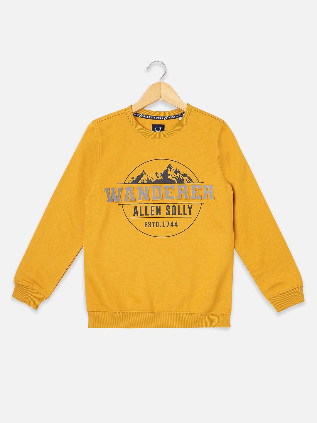 Allen Solly Junior Boys Typography Printed Sweatshirt-picture-29