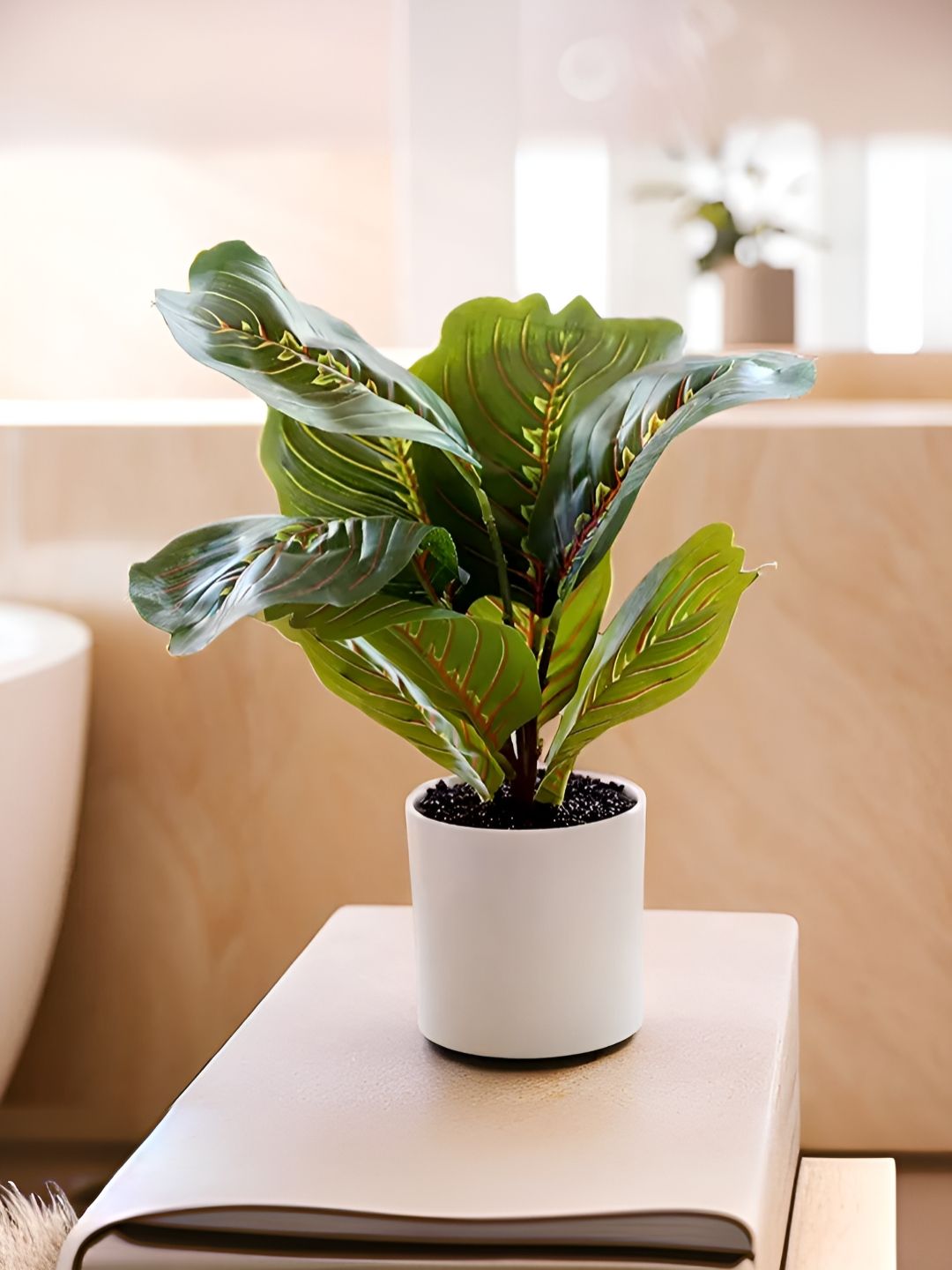 The Better Home Green & White Artificial Plant With Pot