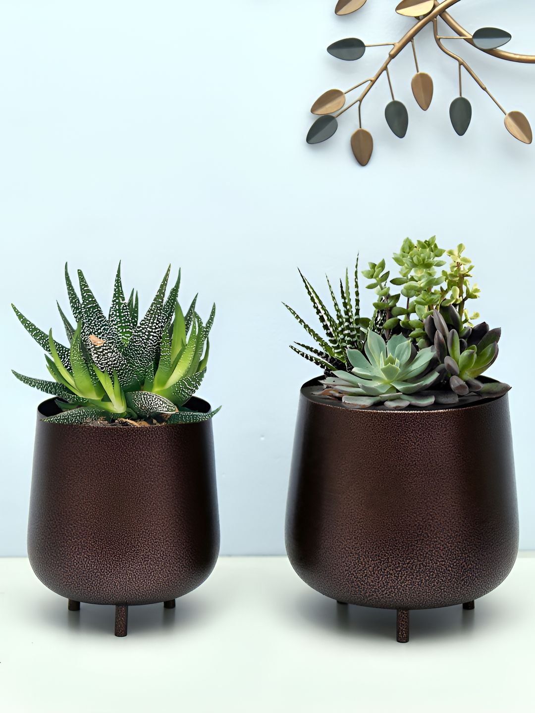 Homesake Coffee Brown 2 Pieces Planters With Holders