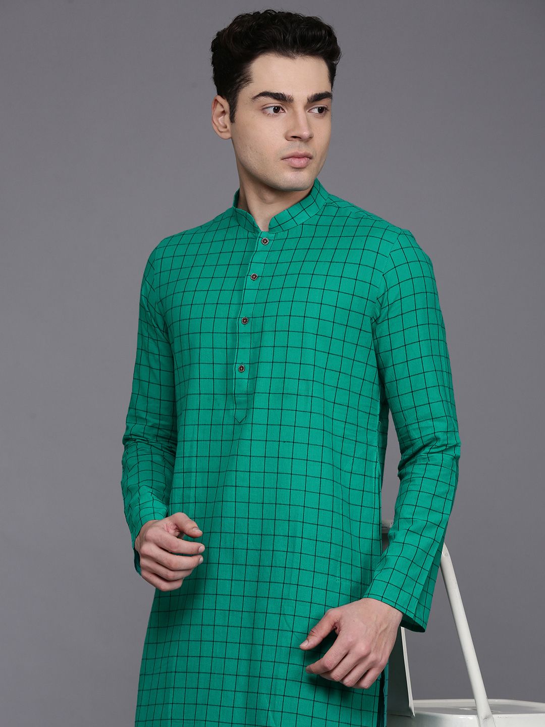 Manu Mandarin Collar Checked Regular Kurta-image-7