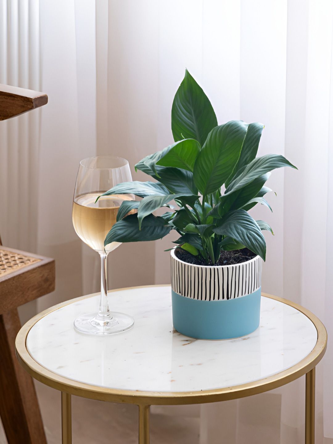 Claymistry Blue & Black Textured Ceramic Flower Planter