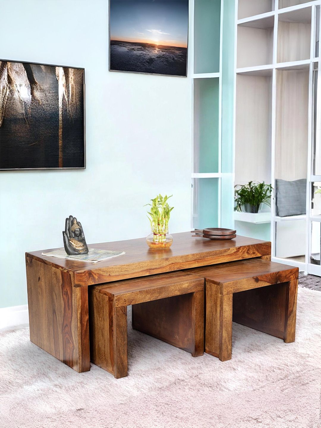 Ikiriya Brown Rectangle Shape Wood Contemporary Coffee Table-picture-33