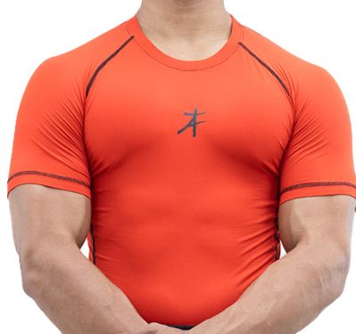 Buy Athflex Mens Half Sleeve Textured Compression Gym Wear T Shirt ...