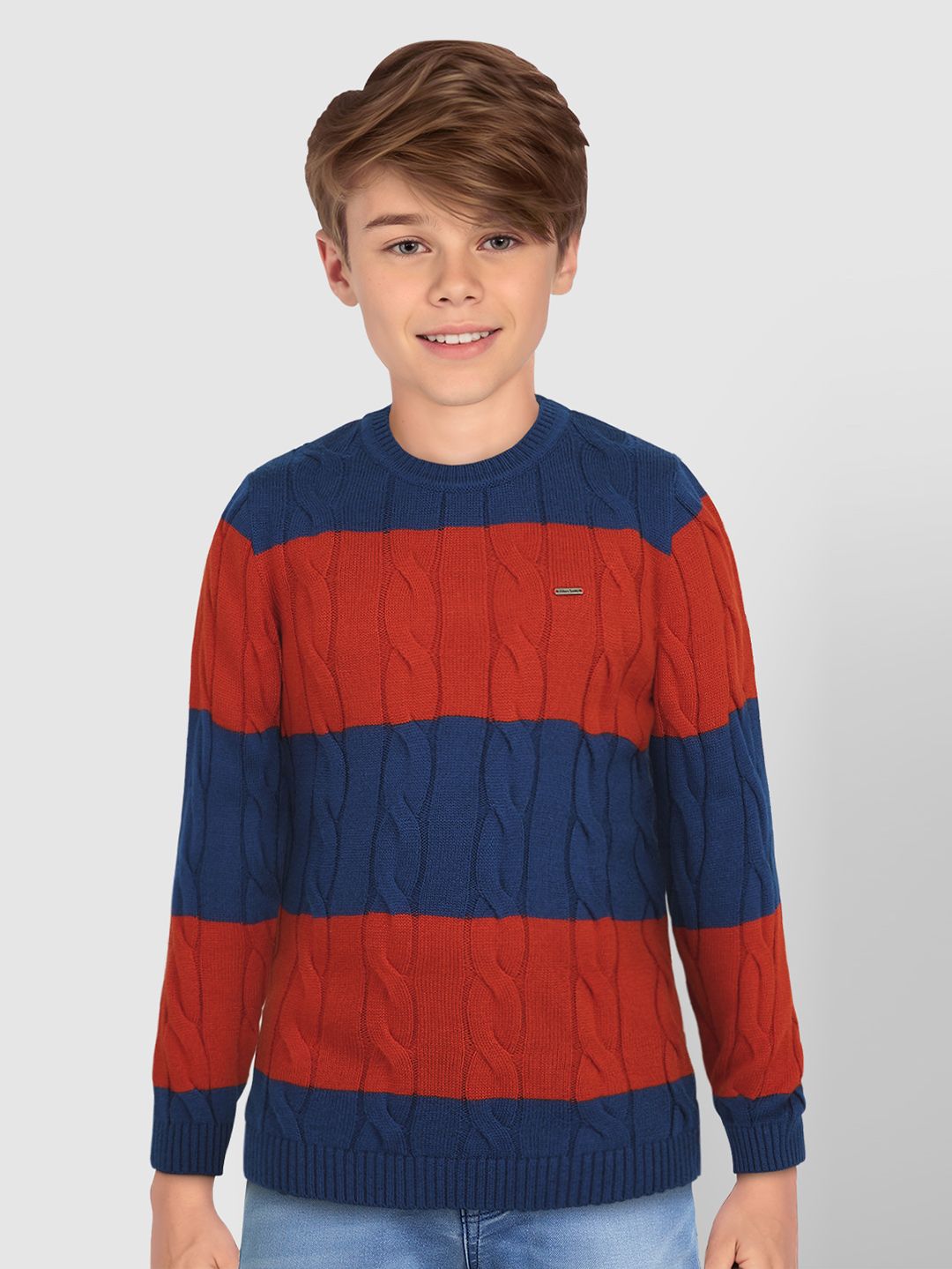 Allen Solly Junior Boys Cable Knit Colourblocked Pullover-picture-45