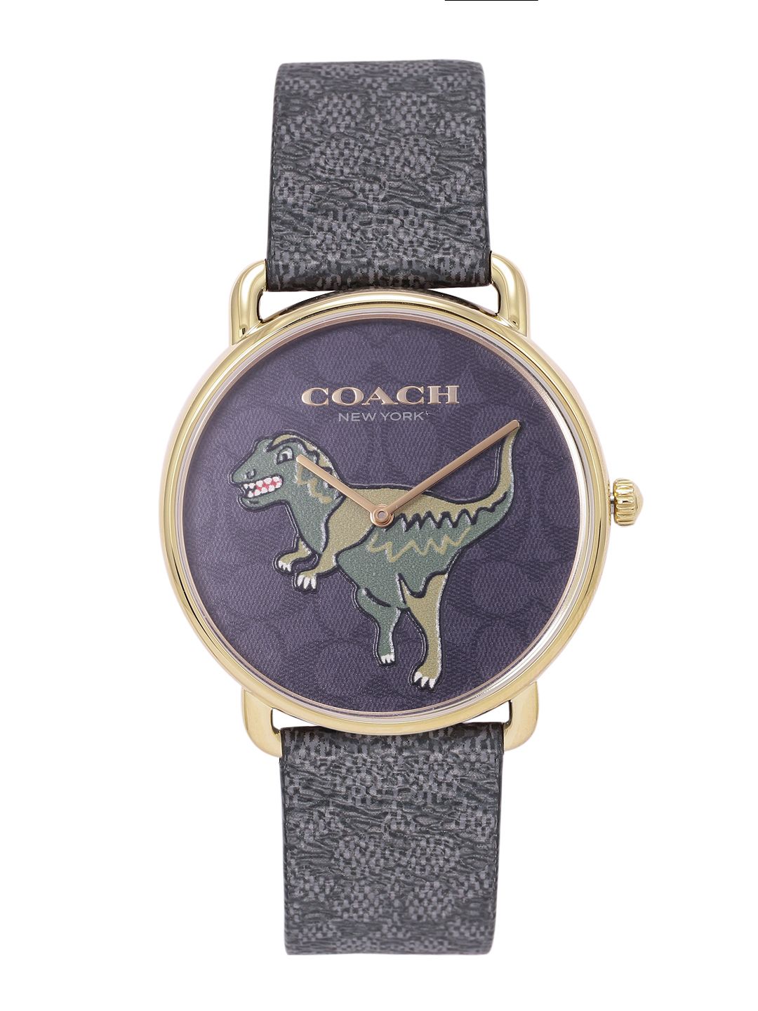 Coach Men Elliot Dinosaur Patterned Dial Leather Analogue Watch 14602672-picture-10