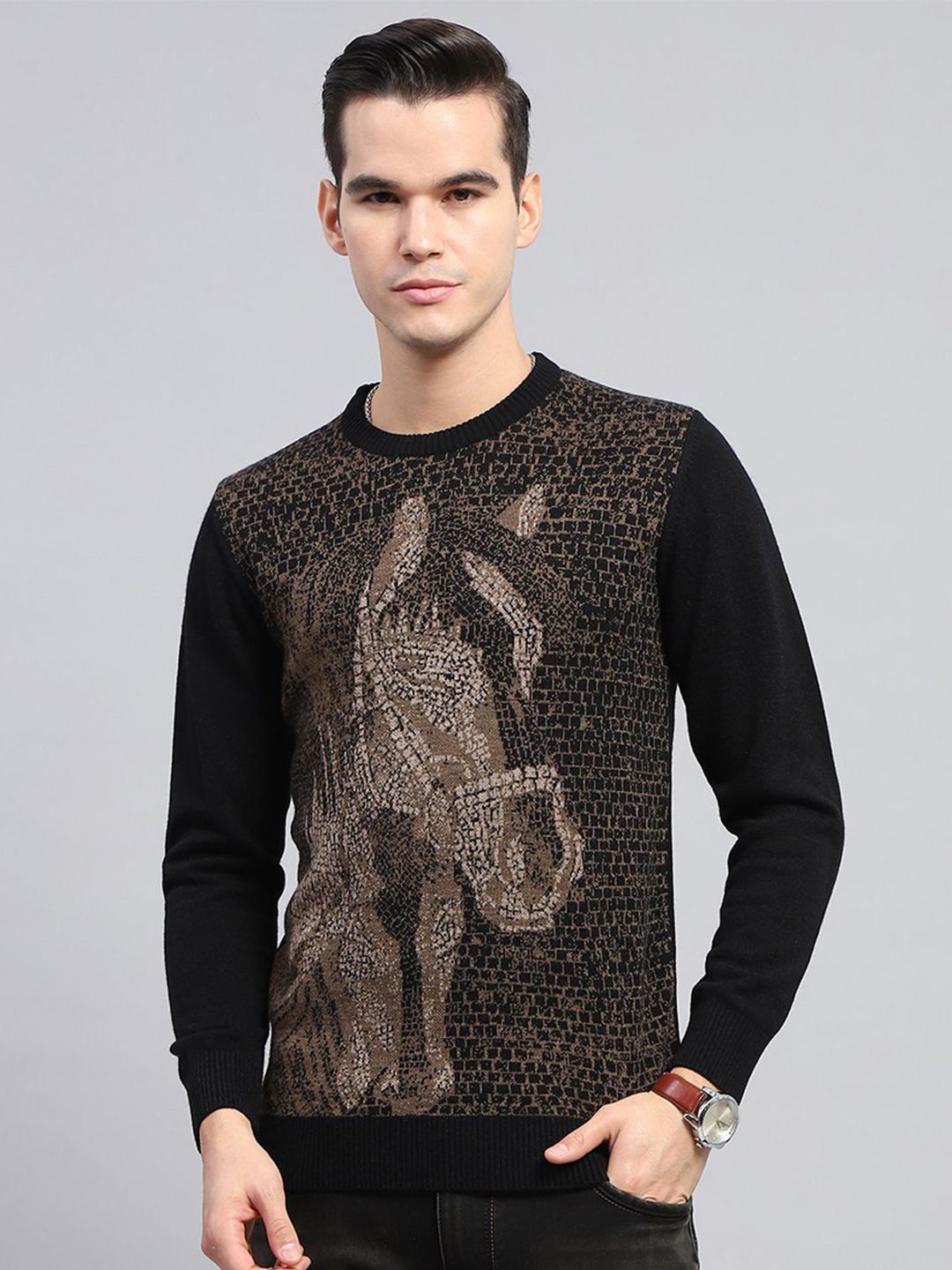 Monte Carlo Men Round Neck Woollen Pullover-picture-49