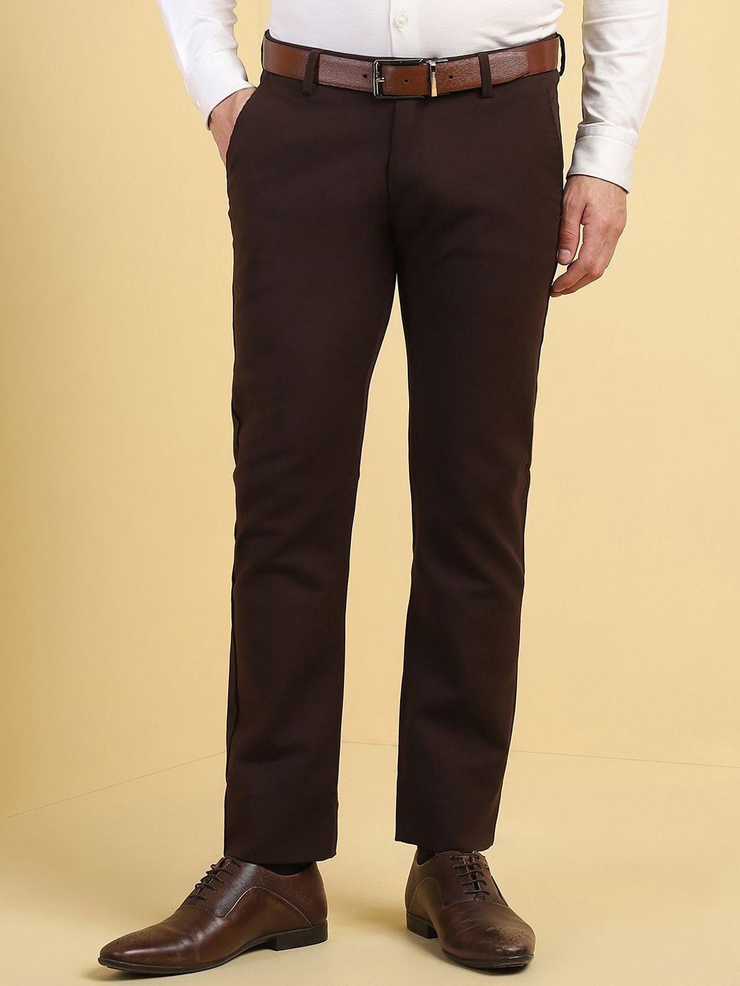 Allen Solly Men Regular Fit Formal Trousers-picture-14