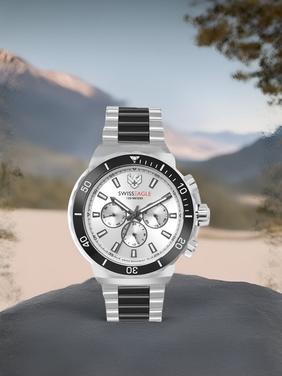 Swiss Eagle Men Dial & Stainless Steel Bracelet Style Straps Analogue Watch SE-9172-22A-picture-10