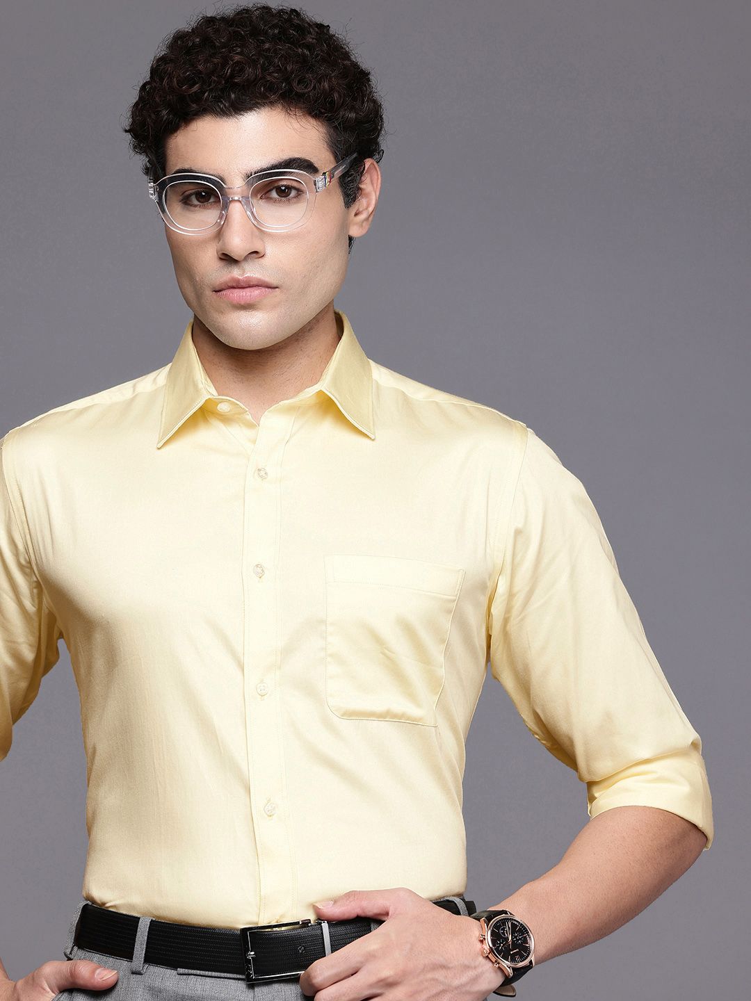Raymond Pure Cotton Slim Fit Formal Shirt-picture-23