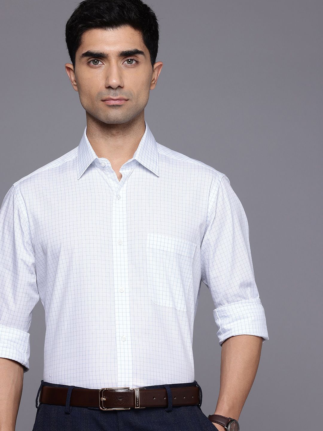 Raymond Slim Fit Micro Checks Pure Cotton Formal Shirt-picture-27