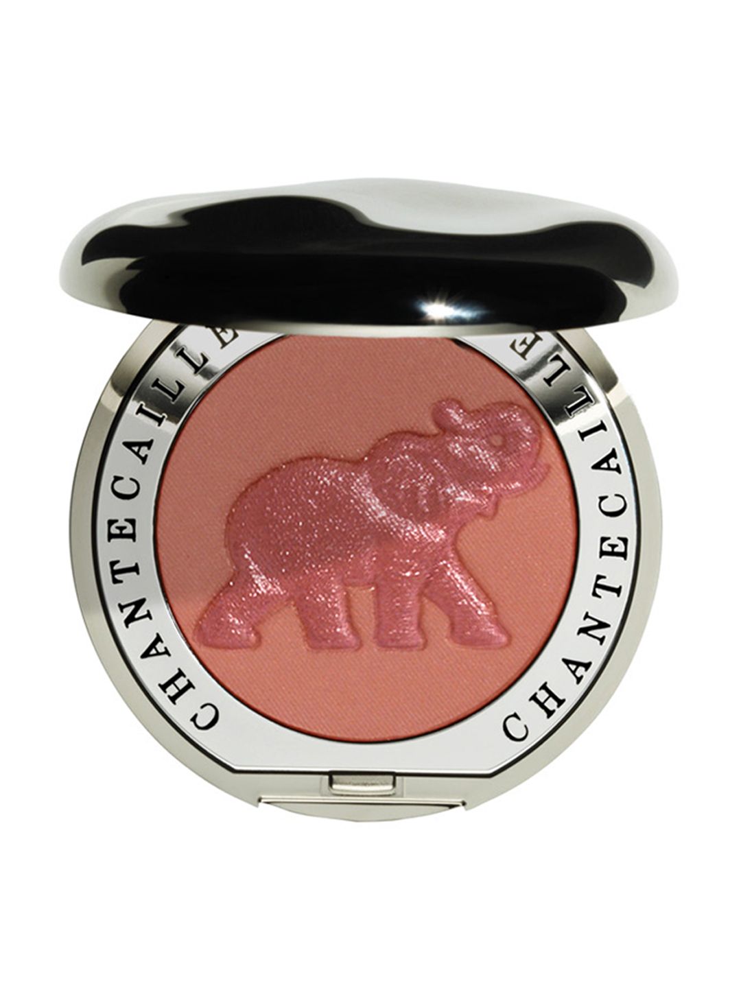 Chantecaille Cheek Shade Smitten - Elephant - 2.5g-picture-20