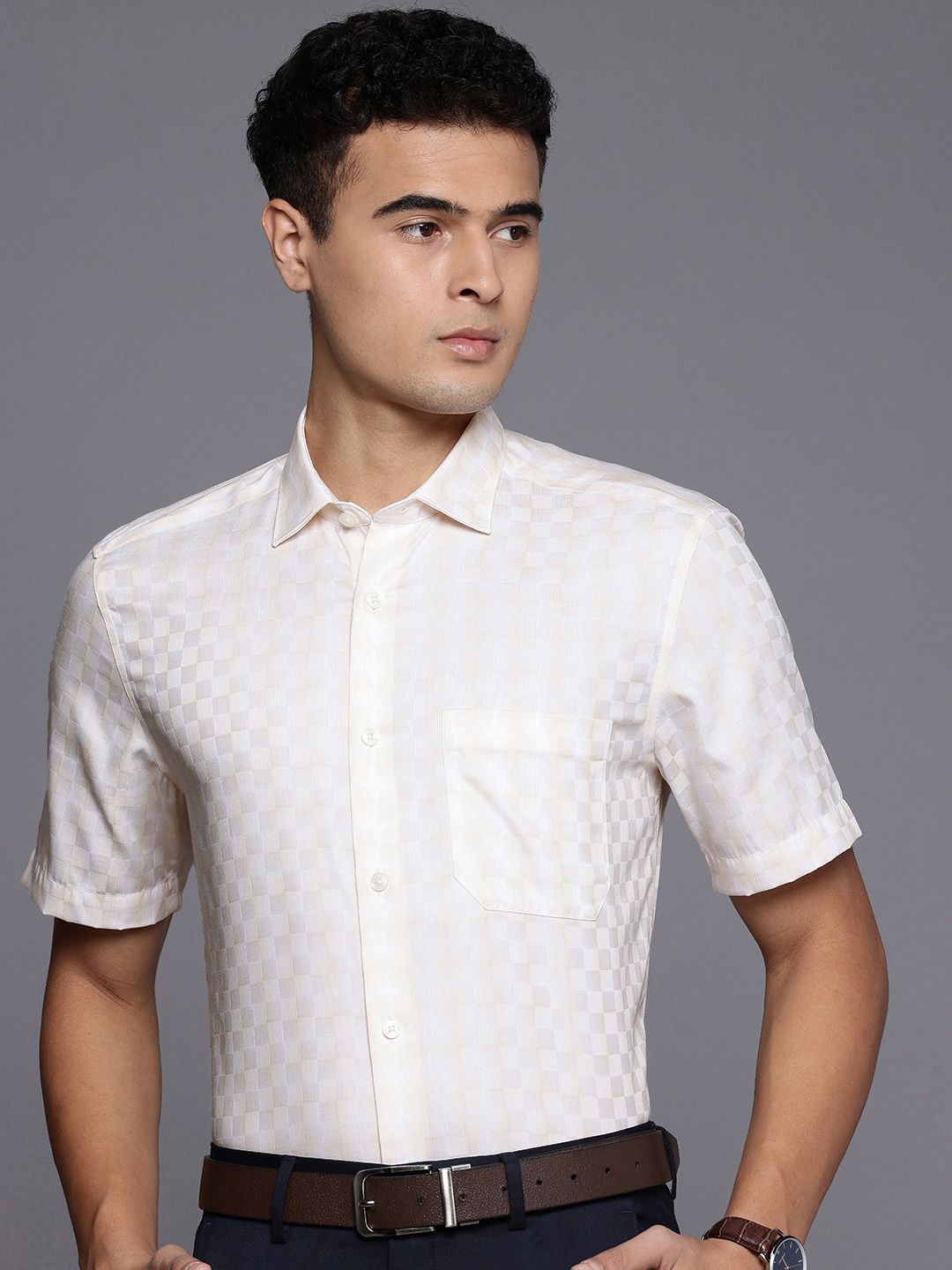 Louis Philippe Classic Fit Self Checked Pure Cotton Formal Shirt-picture-28