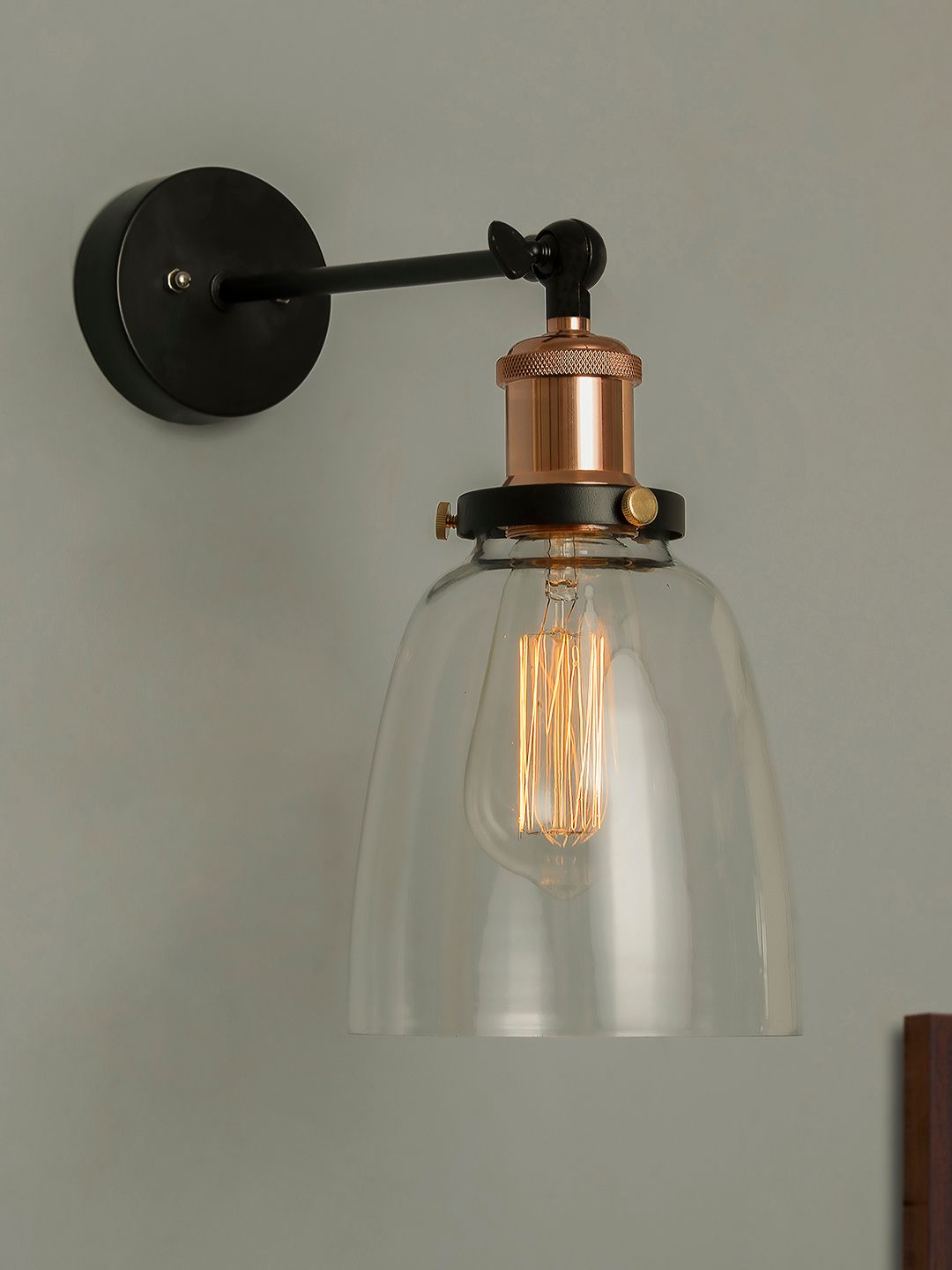 Homesake Black & Transparent Industrial Glass Bell Wall Lamp-picture-17