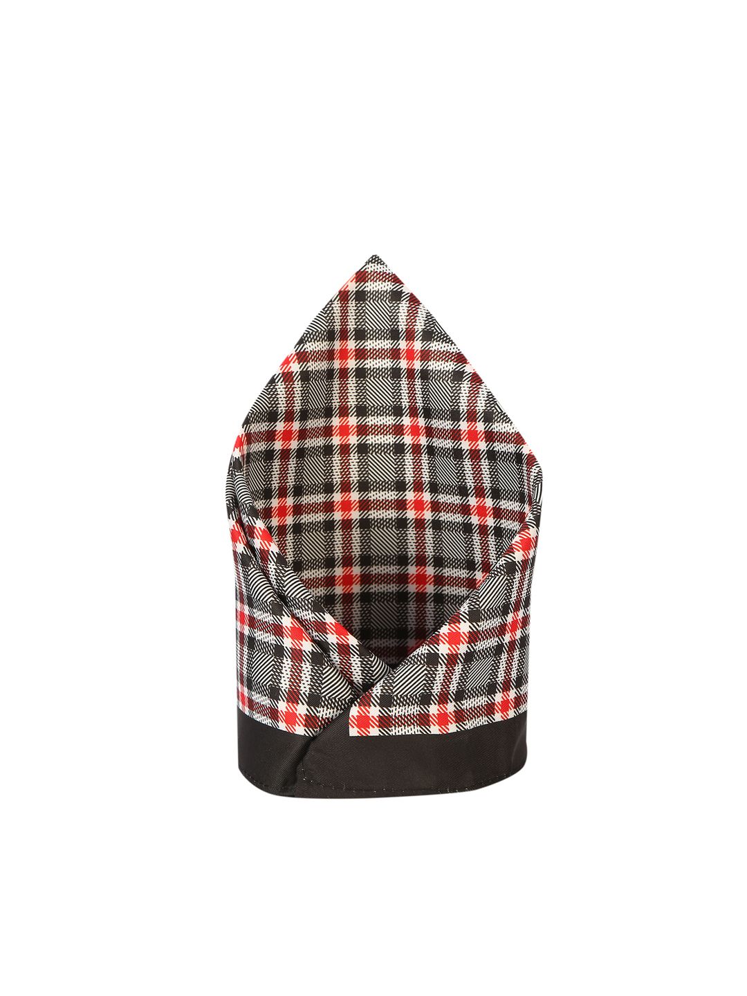 Peter England Men Grey & Red Checked Pocket Square-picture-41