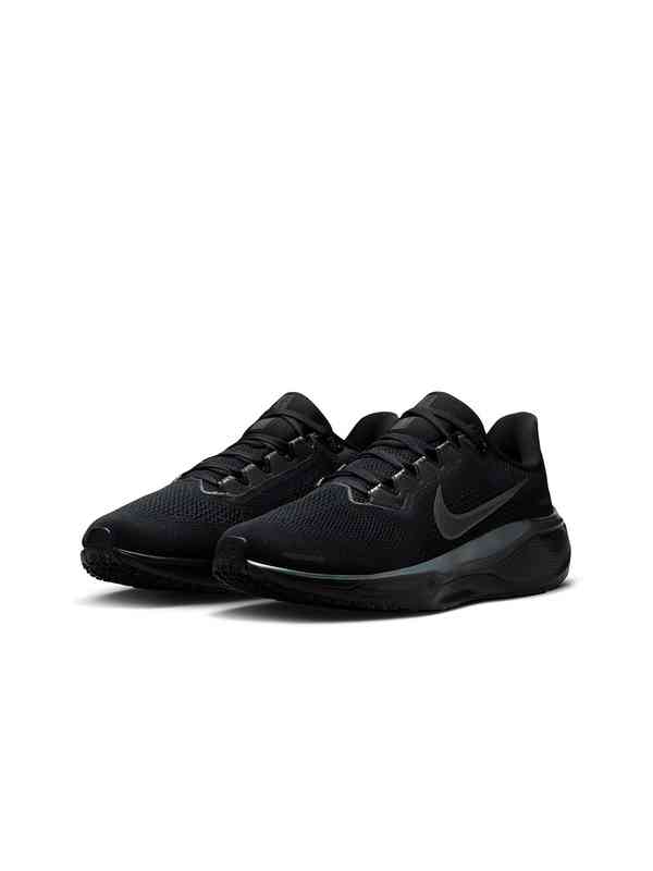 nike pegasus myntra