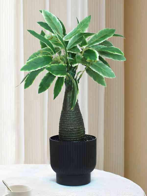Artificial Plants For Home - Buy Artificial Plants For Home online in India