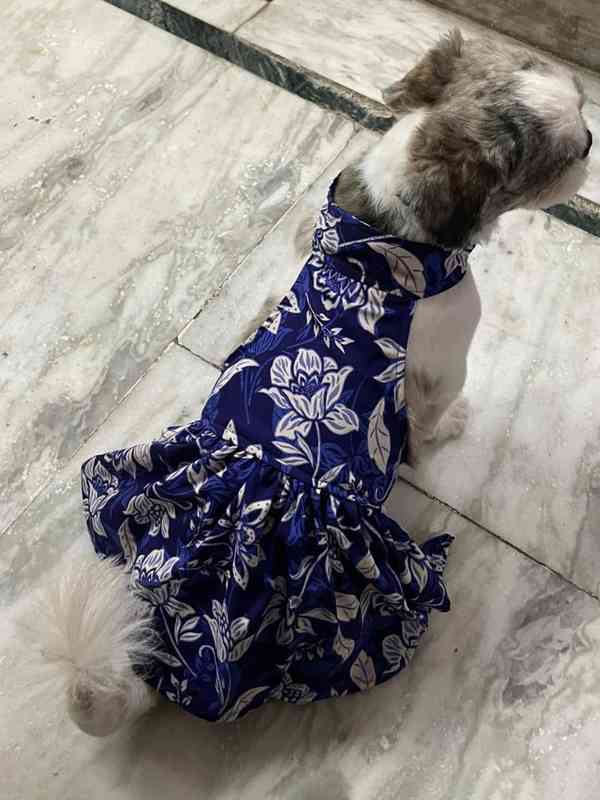 dog blue dress All American Girl Dog Dress