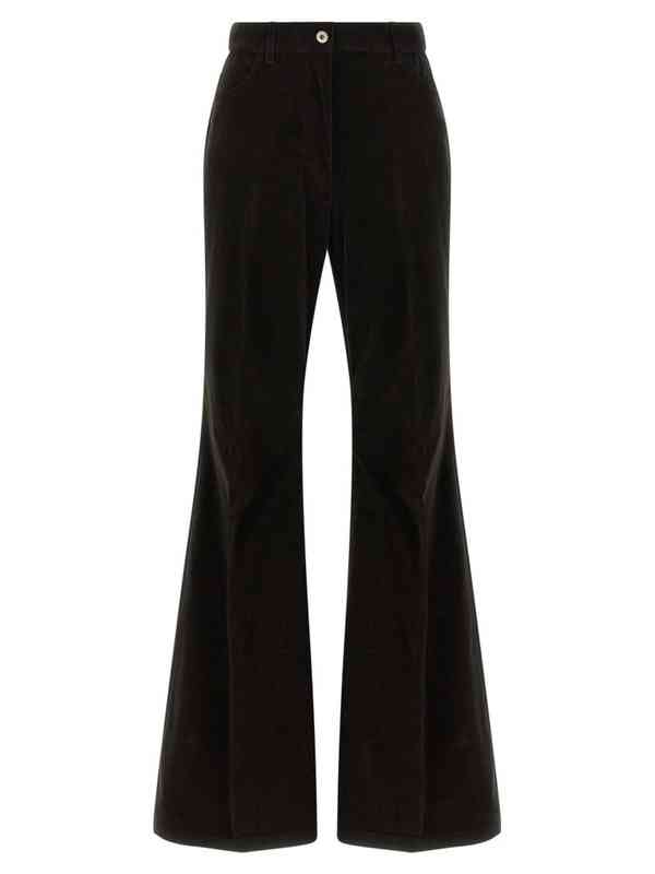 Buy Velvet Pants Online in India at Reasonable Cost on Myntra